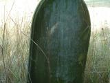 image of grave number 336539